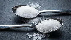 Jak vybrat správnou sůl na vaření, abyste naplno rozvinuli chuť svých jídel