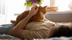 Váš malý chlupatý léčitel: Proč k vám kočka vždycky přijde, když vám není dobře?