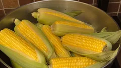Jak a jak dlouho vařit kukuřici, co přidat do vody, aby byla měkká