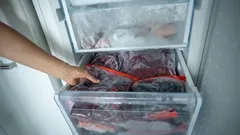 4 příznaky, že teplota ve vašem mrazáku není správná