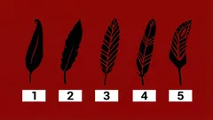 První pero, které se vám zalíbí, o vás prozradí víc než psycholog.