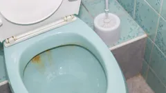 Jak vyčistit toaletu od žlutých usazenin: neúčinné a účinné metody