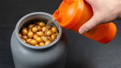 Jak vypěstovat velkou a zdravou cibuli: tři osvědčené triky bez zbytečných nákladů a námahy